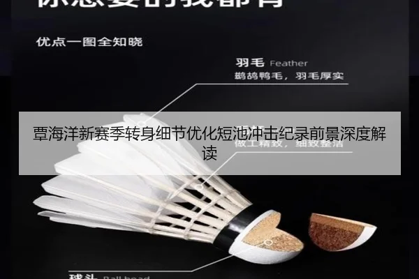 覃海洋新赛季转身细节优化短池冲击纪录前景深度解读